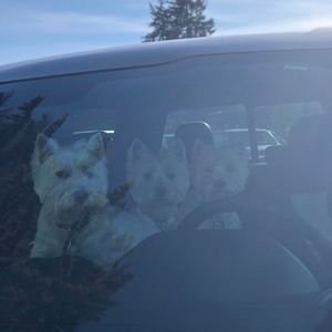 Meet your Posher, Ava